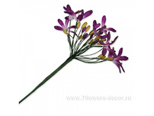 4606500312931, ����� ������������, 53�� (�����),���������, 93 ���..jpg