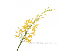 4606500312955, ����� ������������, 99�� (�����), ������, 123,56 ���..jpg