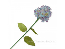 4606500312986, ����� ������������, 66�� (�����), �������, 105,6 ���..jpg