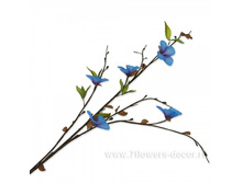 4606500312993, ����� ������������, 79�� (�����),�������, 109 ���..jpg