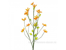 4606500313082, ����� ������������, 79�� (�����), ���������, 109 ���..jpg