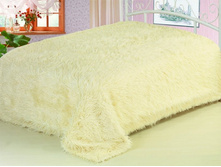 TZ-20 ���� ����.jpg