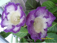 ����������� №3