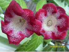 ����������� №2