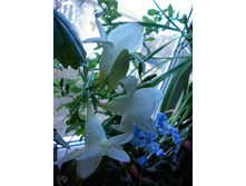 ������ � ����� ��������� (��������)