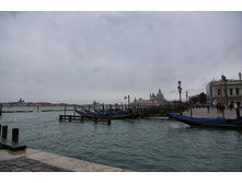 IMG_8206.JPG