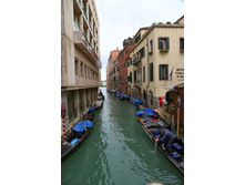 IMG_8360.JPG