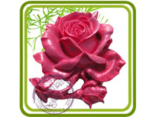 ���� � ������� 285+%.jpg