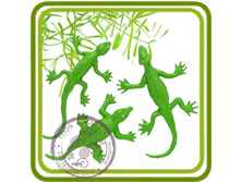 ������ 3 ������ 285+%.jpg