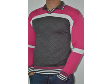 2070 red2.JPG 195���