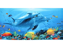 ���������  007 72�144�� 130���.jpg