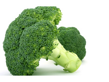 ����*���� ���*��  15 ��