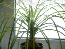 ������+/