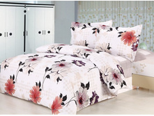 07839 �������� ����������� ����� 2-��. 4 ��������. ������ 100%. ������������ 180�205 - 1 ��, �������� 210�230 - 1 ��, ��������� 50x70 - 2 ��.   ���� - 1800,00