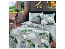 ����� ����.png