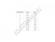 ���� ���.jpg