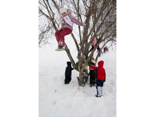 �������� ����������.jpg