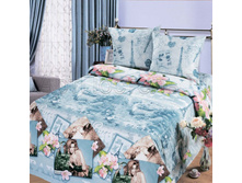 9602-1 ��-��� � �����������.jpg