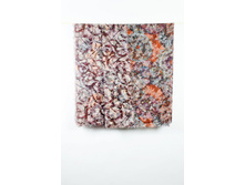 T 20-8 n ��� 2.jpg