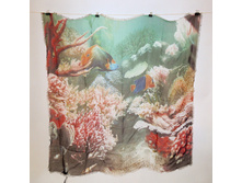 MS 12-1 ��� 2.jpg