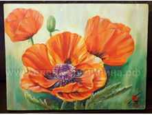 DSC03704 - �����.JPG