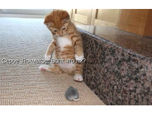 �����, �������� ... ���� ��� ��?