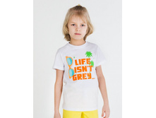 849-126   220���