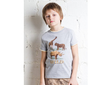 849-243   235���