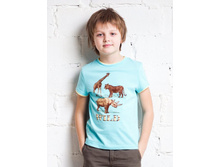 849-243   235���