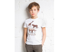 849-243  235���