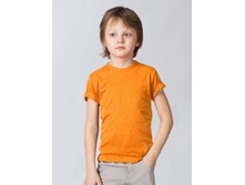 849-204   160���