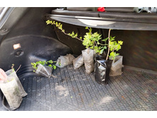 �������� �������, ����������, ������ �� ��� ��������