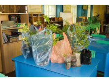 ����������� ���������� ��������