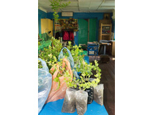 ��� � ������� ����