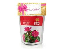 ��������� ������� �����,����	113	���