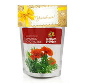 �������� �����, ����	113	���