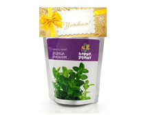 ������ �������� �����,����	113	���