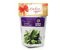 ������ �����,  ����	113	���