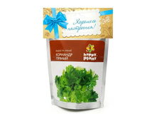 �������� �����, ����	113	���