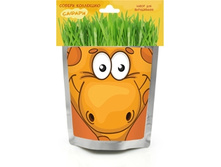 ������ ����� ����	113	���