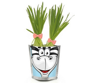 ������ ����� ����	113	���