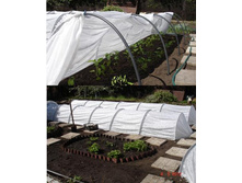 ���������� 6.jpg