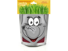 ������ ����  ����	113	���