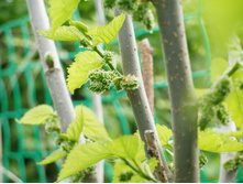 ����������