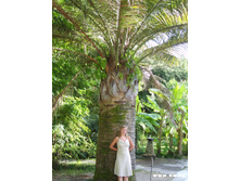 � ���� � �������