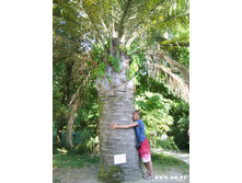 �!! ޣ ������ :)