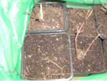 ������� 004.jpg