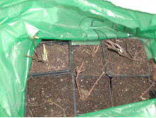 ������� 001.jpg