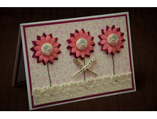 ������� 2014.JPG