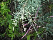 ��������+